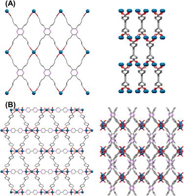 Luminescent Zn (II)-Based Nanoprobes: A Highly Symmetric Supramolecular Platform for Sensing of Biological Targets and Living Cell Imaging